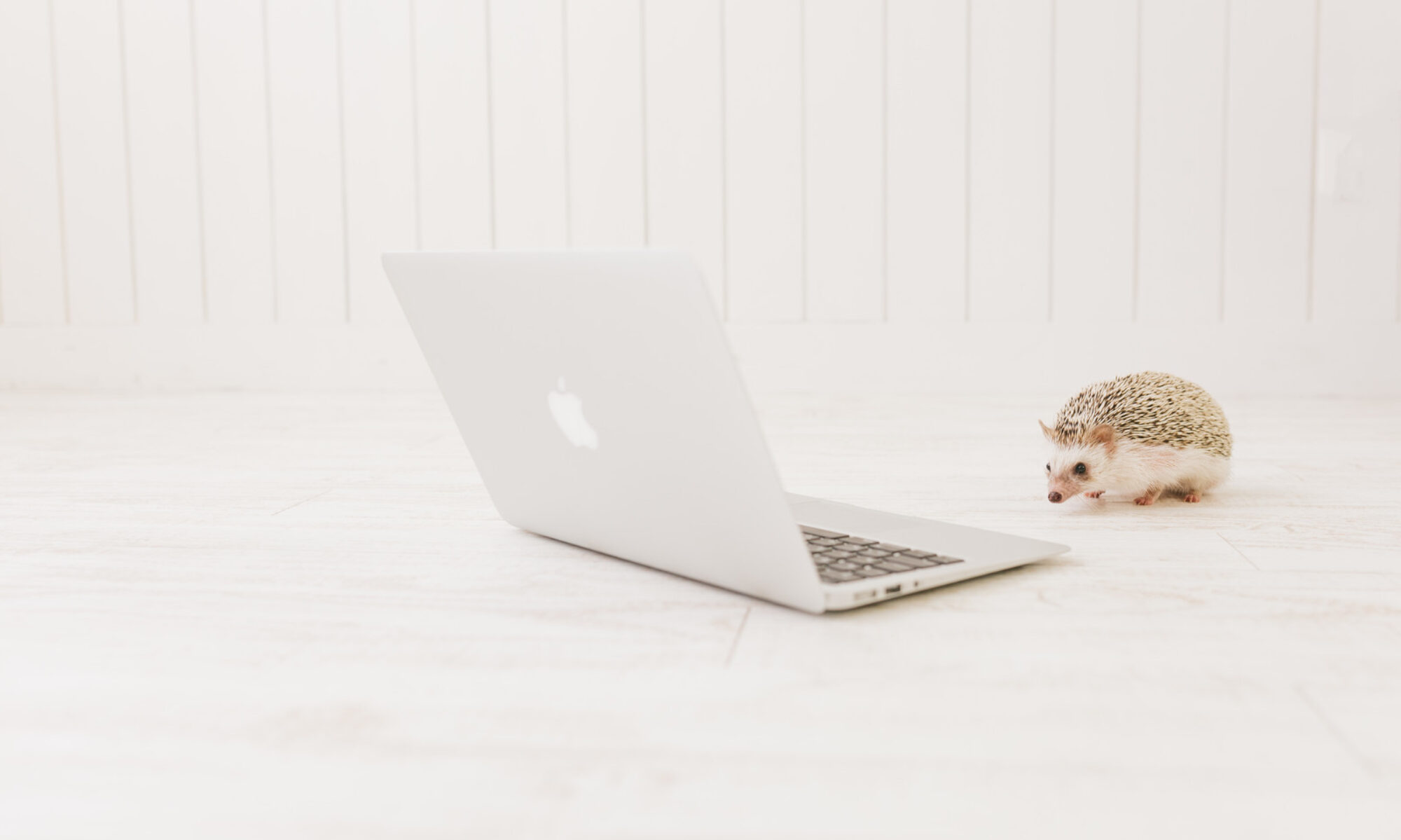 素早く安全なオンラインミーティング・ブレインミーティング